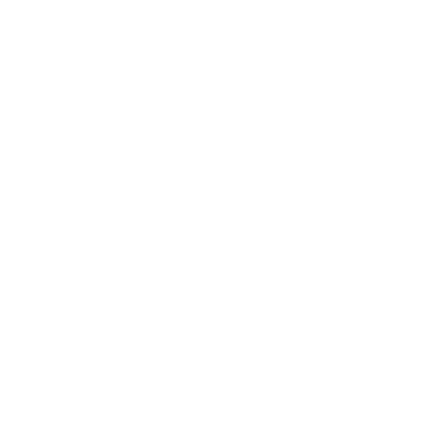 Walz Travels